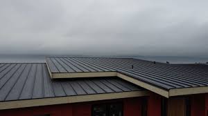 Metal Roofing